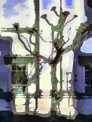 house-tree